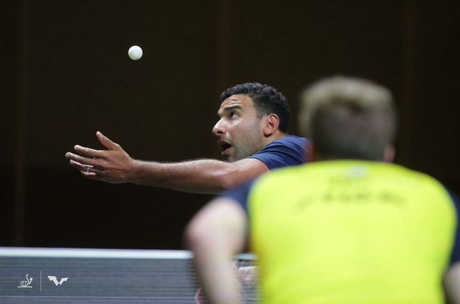 妻子的理解 妻子的理解