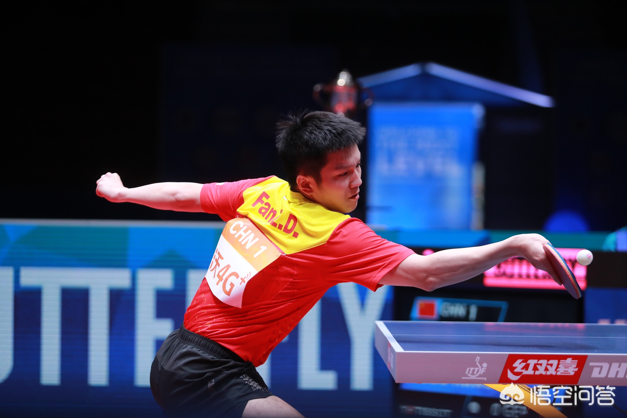 其命名不仅 其命名不仅